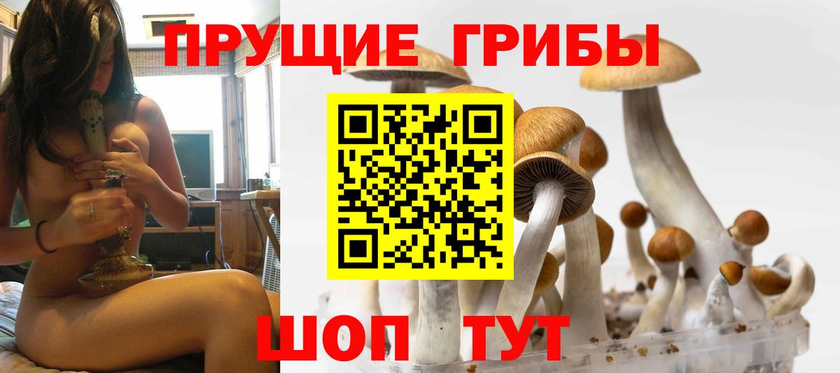 Псилоцибиновые грибы MAGIC MUSHROOMS  Вход с VPN  Санкт-Петербург  Галлюциногенные грибы Psilocybe 